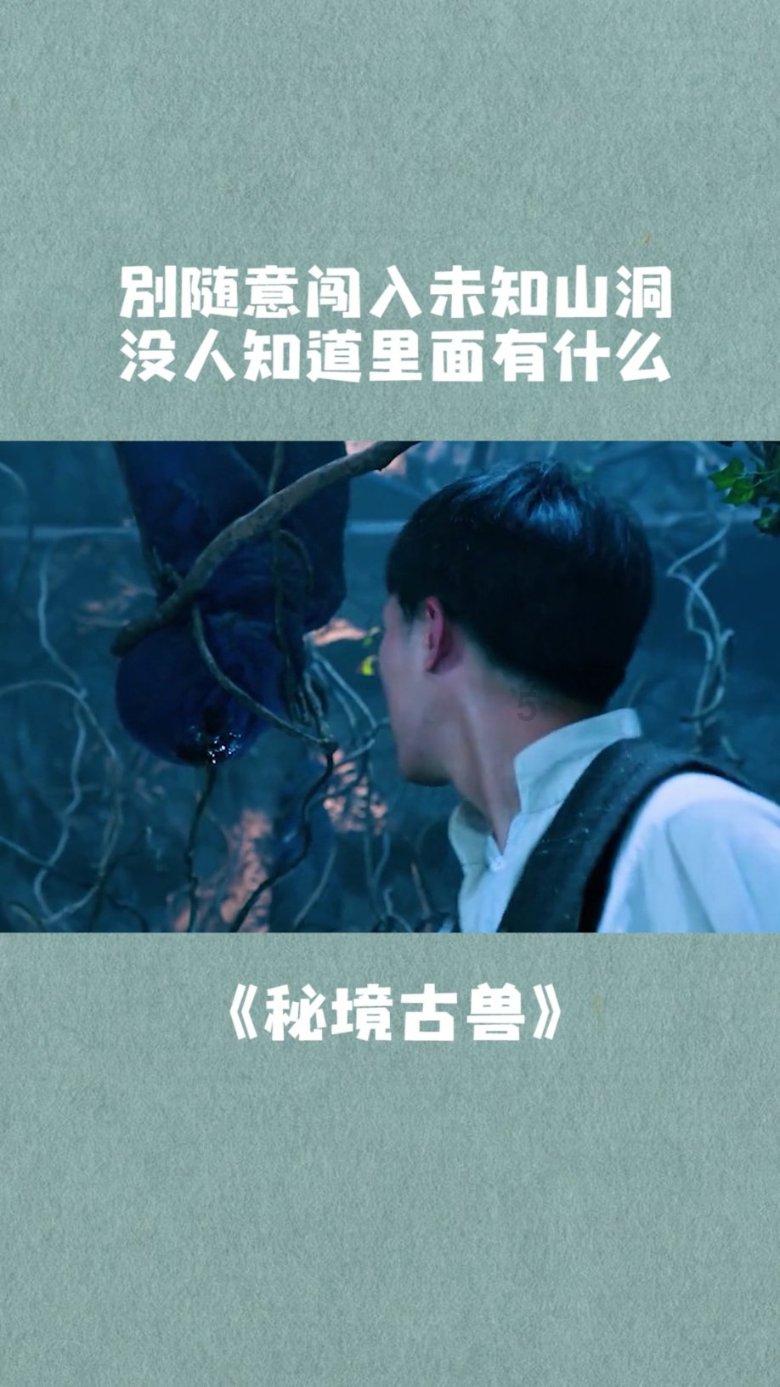 黄平县:各乡镇闻雪而动 抗凝保畅护平安